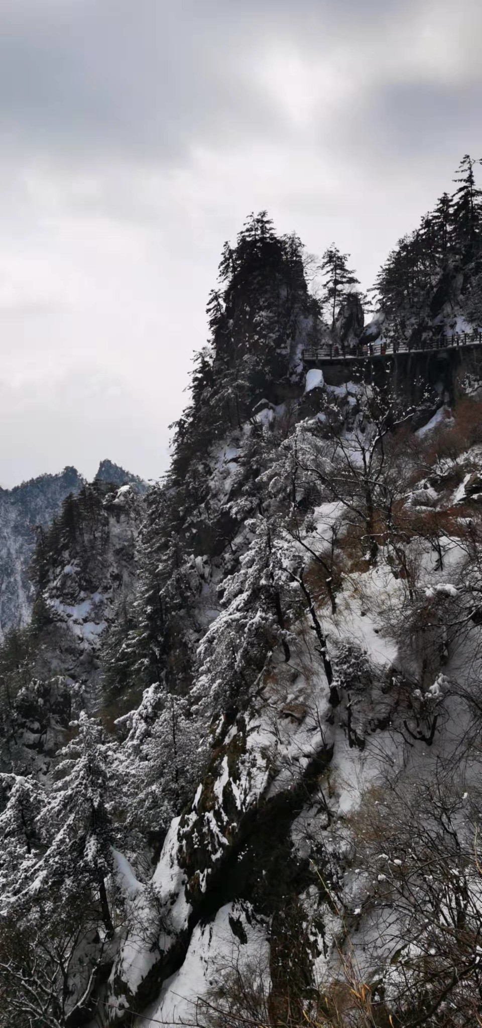 yMRK4S6D_L5ucjiLdUzQZ8dw6ikIDQ7IezeRYQTAs6BtsZILnCswCnxEruVgC8zB