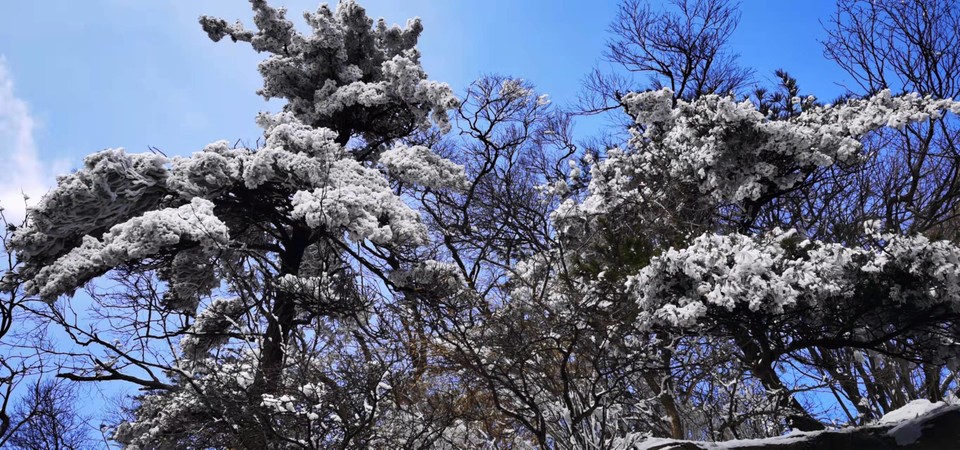 yMRK4S6D_L5ucjiLdUzQZ-8oFLmxyPfDM40qSzp3c2aSaXAVcGPSsRjPL6SbkWAz