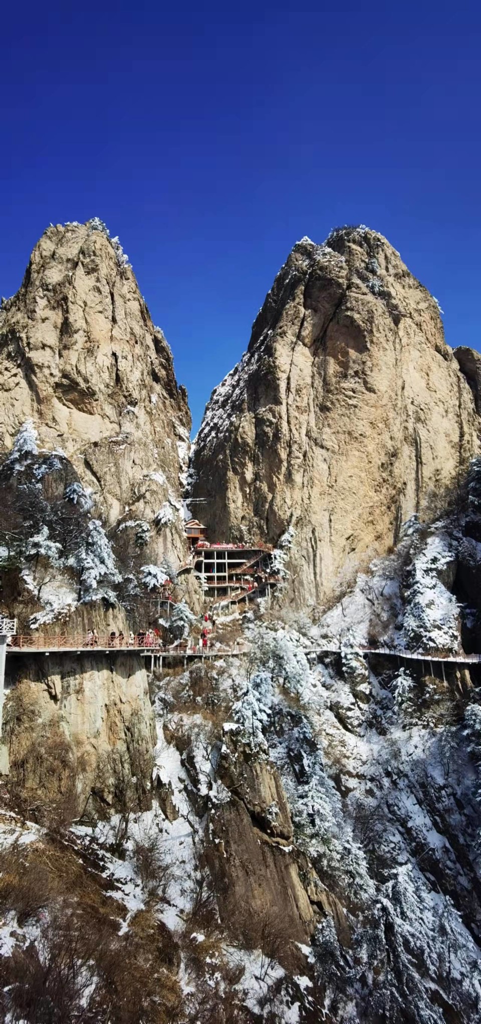 yMRK4S6D_L5ucjiLdUzQZ-8_Tbpi4x76IyaylUJPd1CMANCnvgIX1SByVCuOtgLf