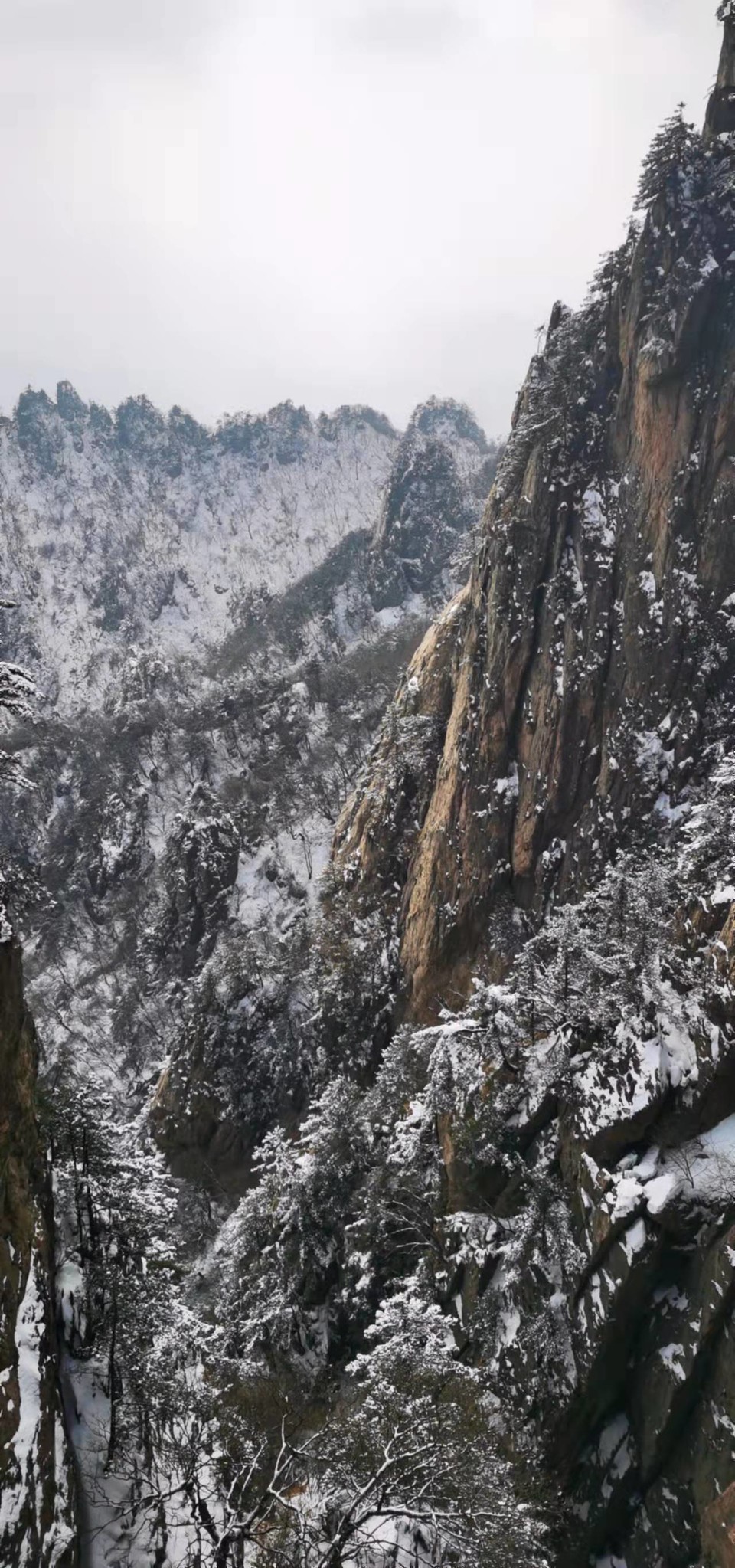 yMRK4S6D_L5ucjiLdUzQZ0Vtg3MXvijpgda9a5m89ia9ES-NBtZ0JSeQ6SpTUcEJ