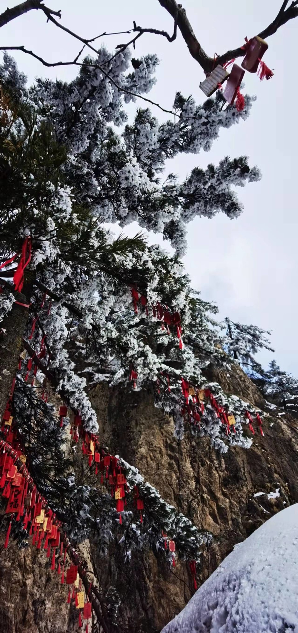 yMRK4S6D_L5ucjiLdUzQZ_-L1jdnfhUD6fauiweB4bCdUXCg4KOPTf5p17Y3Ohln