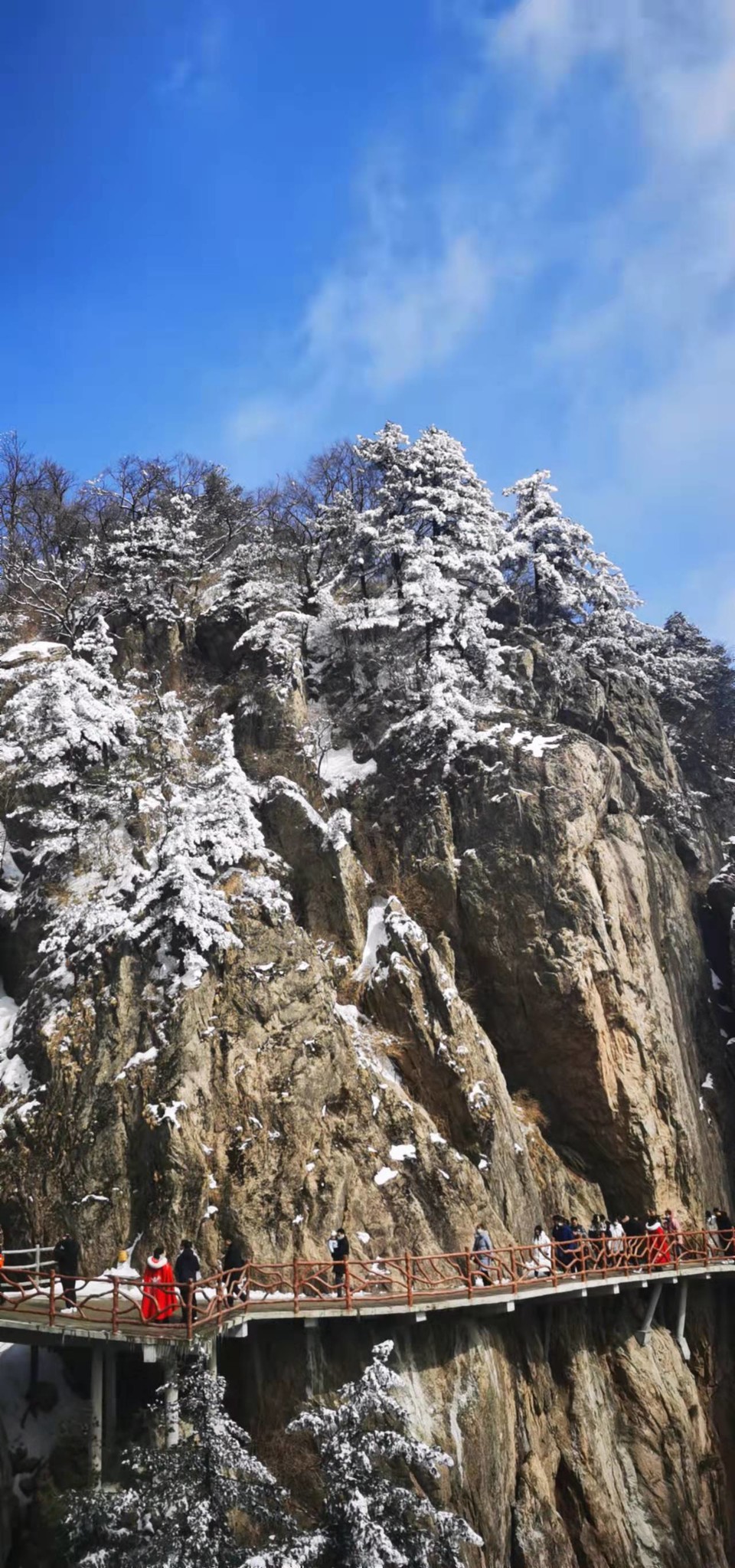 yMRK4S6D_L5ucjiLdUzQZ5dGza7tvT3A0bJTfklITTRWz7WThyrXFdJS8fHtmM1U