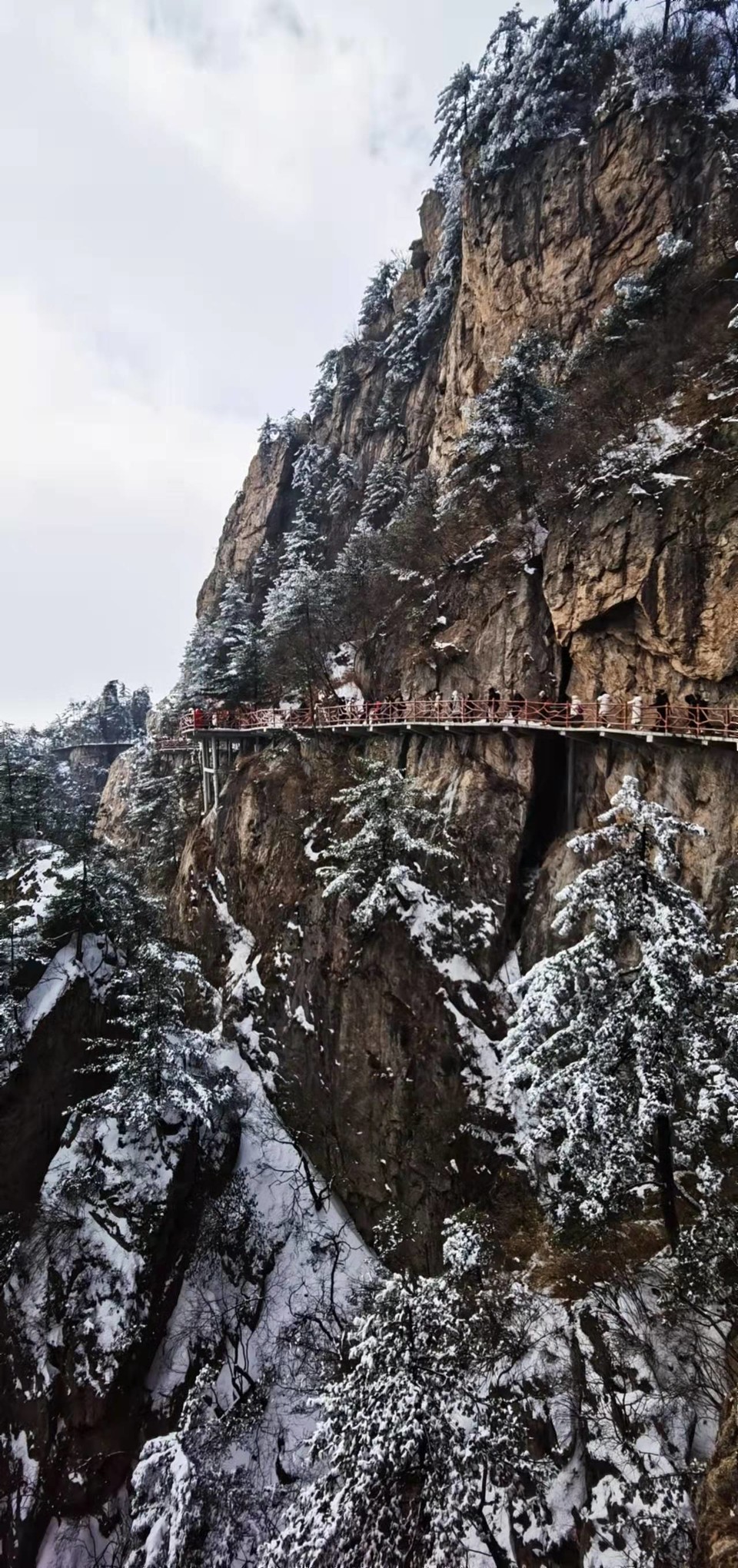 yMRK4S6D_L5ucjiLdUzQZ202-pQ4dpjJJjYfo5WytCCy-D2AhVGQiRHLOsOlJ_15