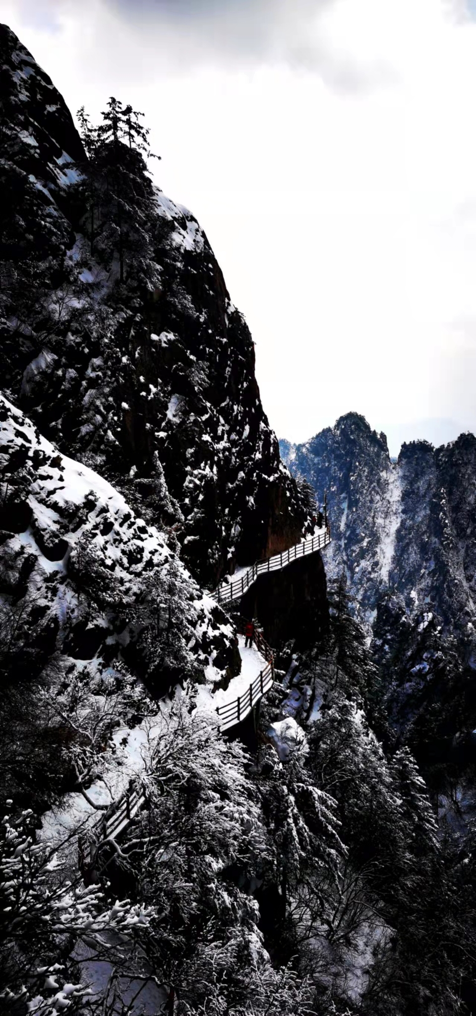 yMRK4S6D_L5ucjiLdUzQZ99cywI9KMRiO0XywDAlgtjpjjiHDNORg7dNy2tksuga