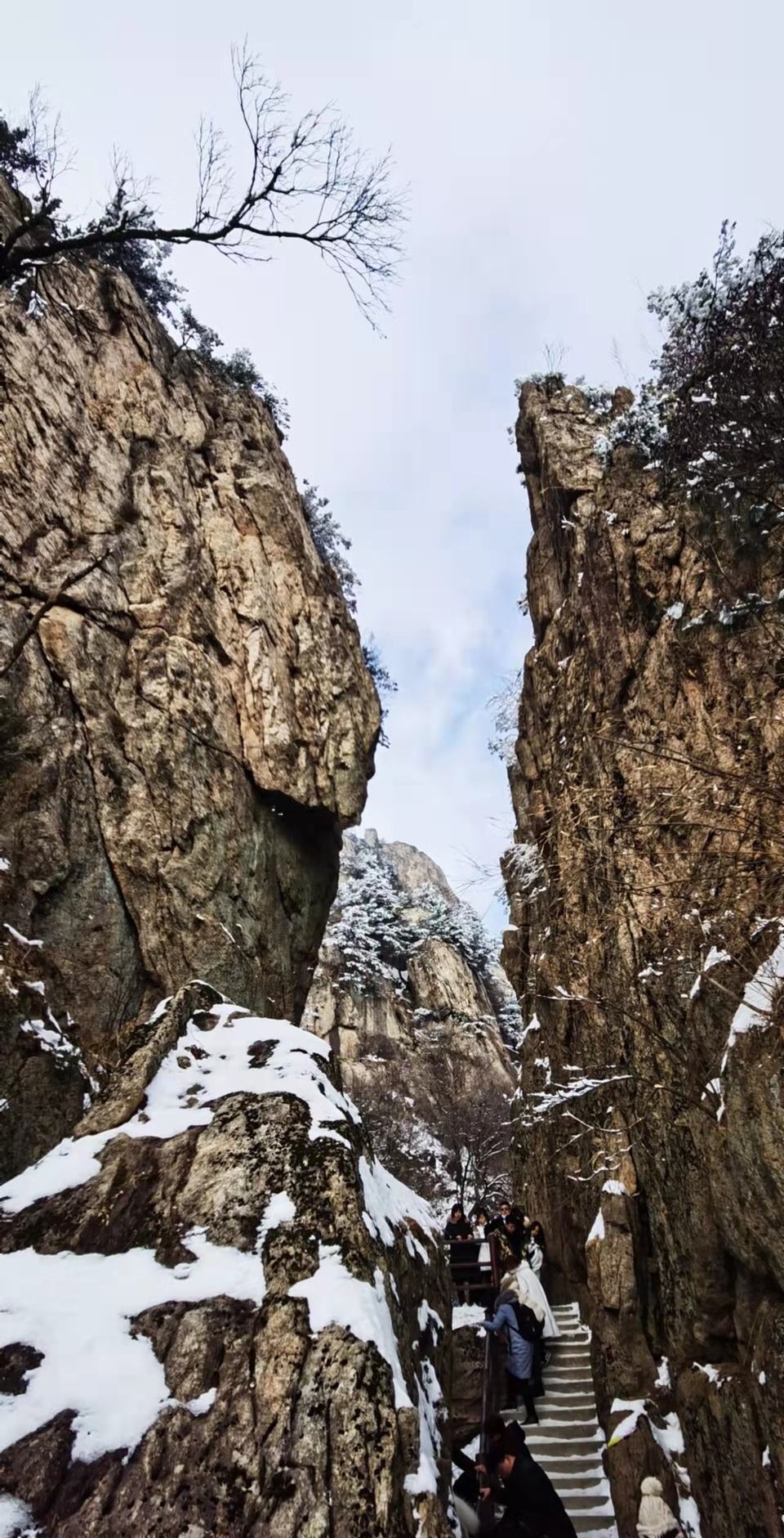 yMRK4S6D_L5ucjiLdUzQZ_G3Ers3oGqMyh6gu3ACXuyj6OWYyU7JR4CiB9PNVsLs