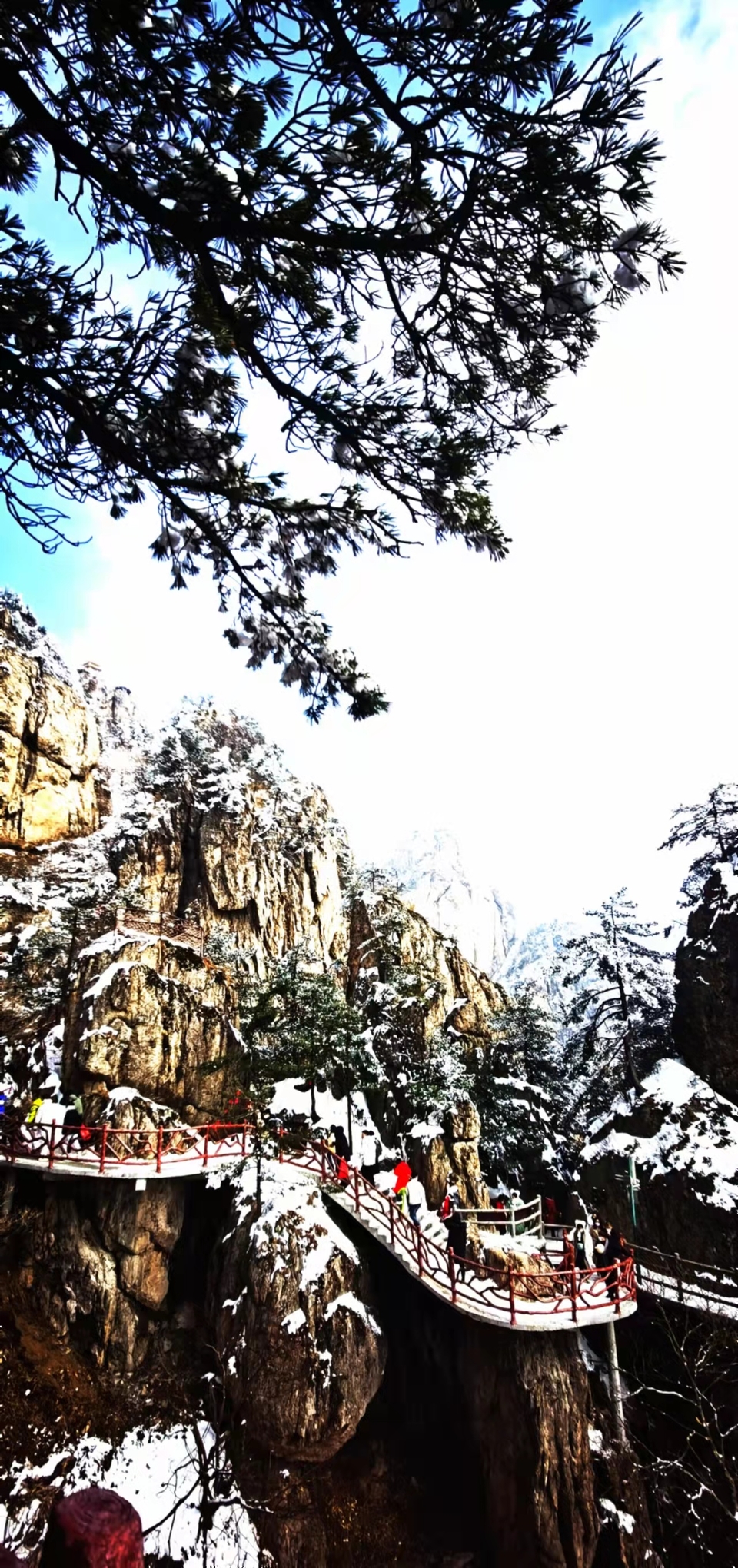 yMRK4S6D_L5ucjiLdUzQZ2eyJBLsNqBL13pIPRUoy6rH-ZTJ8i8ekw5Cyc2CcO4e