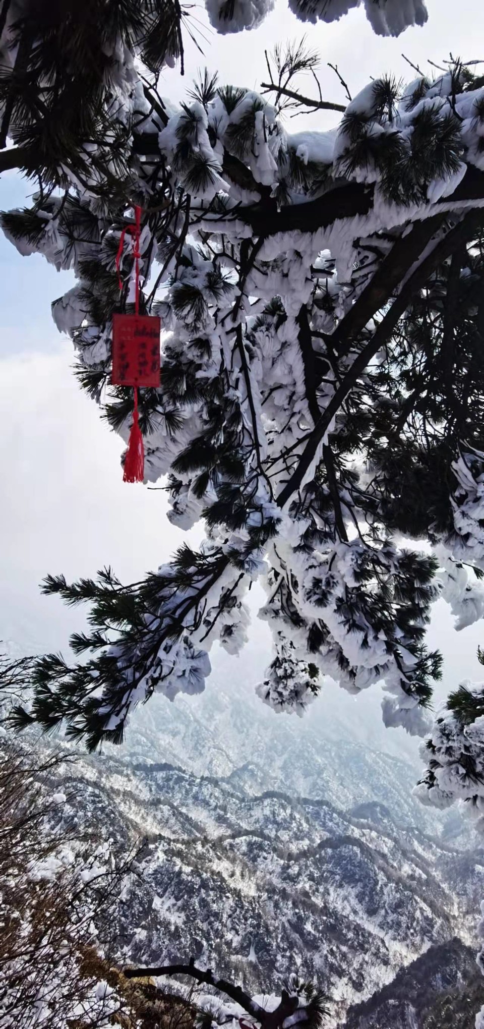 yMRK4S6D_L5ucjiLdUzQZ-xsqgoggbwTZAI4FubDSsA4EhWklqH6VKWVTnmJp2WM