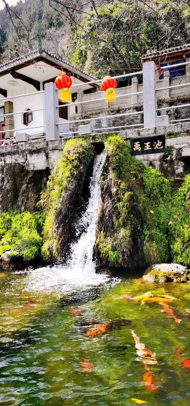 mh93dwyt5oo3r7FQZJikMjJ8mP1iTua6aPrkTpNWqea8i1DFRj4ykz5PPbEsy96m