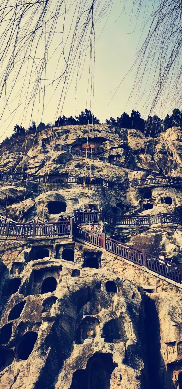 mh93dwyt5oo3r7FQZJikMjbqcsTTlXuBXZeOifX05ib6-JlkCifB51tyaqOBeJDX