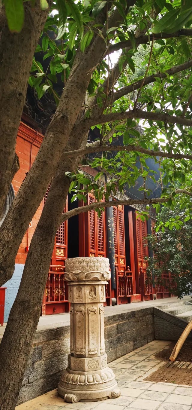 mh93dwyt5oo3r7FQZJikMlgCwVSqdvqrGNeGpaoYtRplPK_Kg3qhN1r3k9U0KtVz