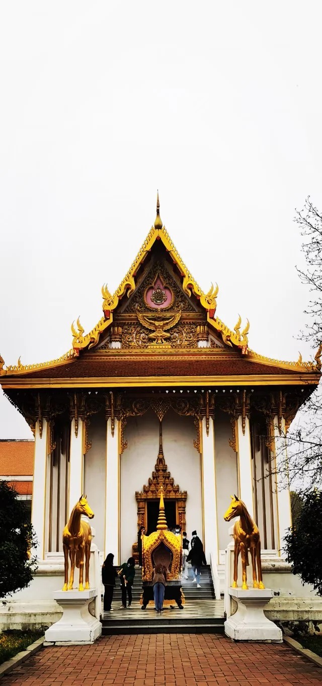 cV7cOF5howo5MiBnXXlVvU1h2AyradIFYUvSftuMItf632QEiGTMeyf71je5oxVb