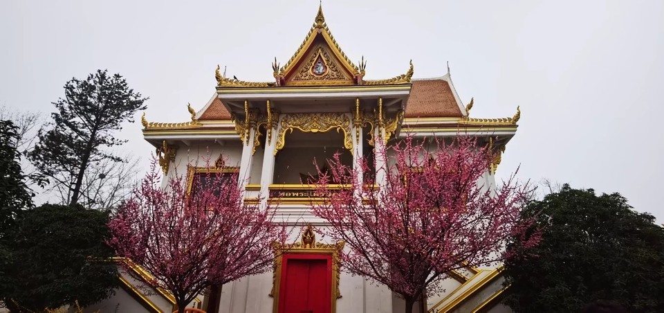 cV7cOF5howo5MiBnXXlVvXZZ8xVUYZginJJ6RVrpDeniN4FxczHVGI88ok-ZPFq0