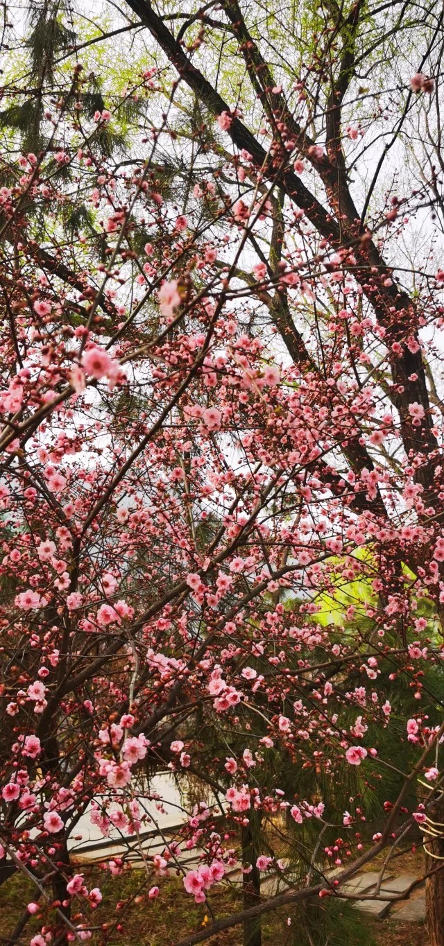 cV7cOF5howo5MiBnXXlVvUD0-CI8bUZ9b218GR8bC79g2ypLT6r2xeBTFSM02Okn