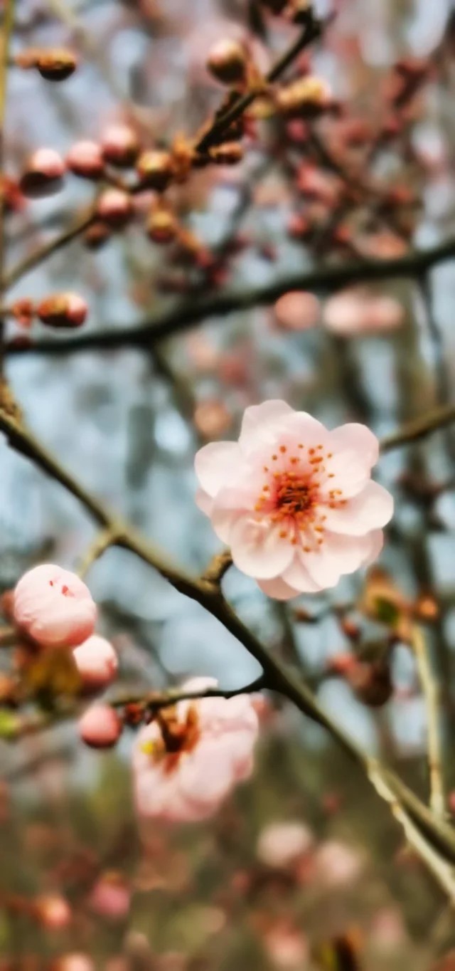 cV7cOF5howo5MiBnXXlVvT44G7ZLawI1Xf5LYpHc2ToERltvqjWFY0dEW5oH8Qwp