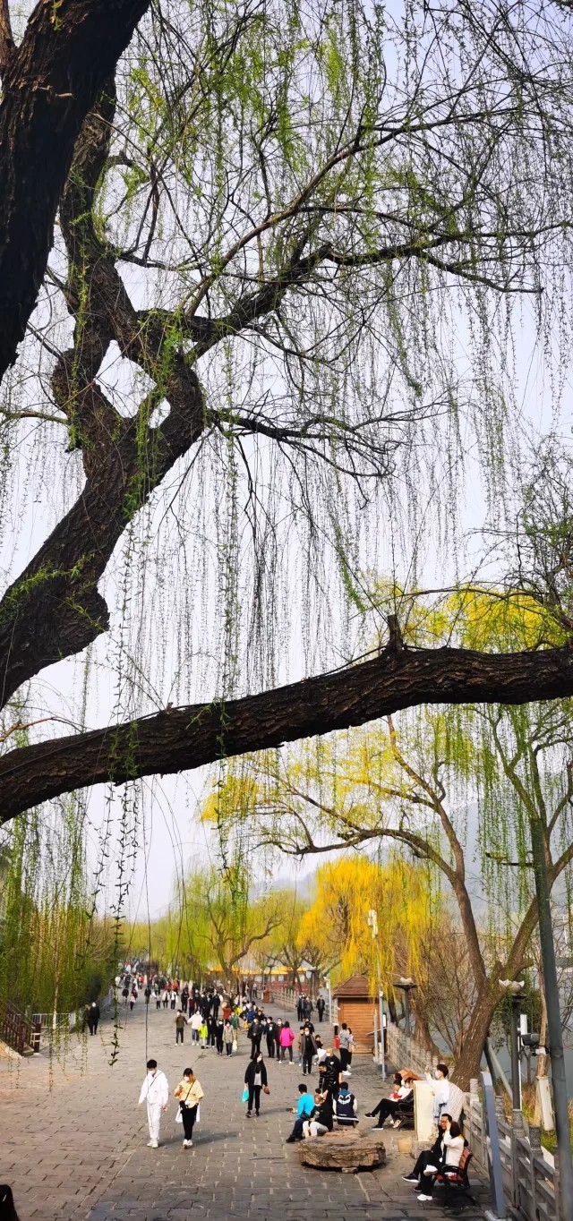 cV7cOF5howo5MiBnXXlVvT7jM-kRe77wW1dS6IREAv4R1o7XMqgTuj6ZpKx_l71O