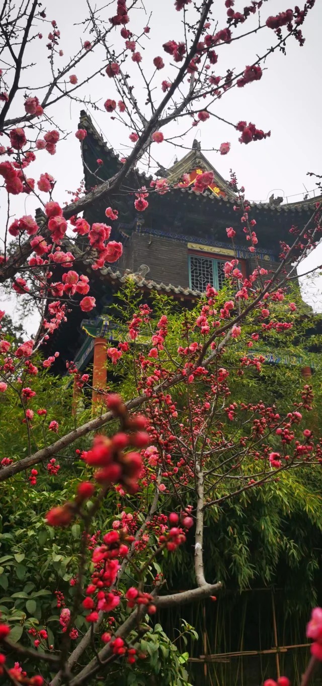 cV7cOF5howo5MiBnXXlVvZqwYp-yzhQNOI3CXMVPFa1qqDZtCJH0a9F0ZWvS_j_j