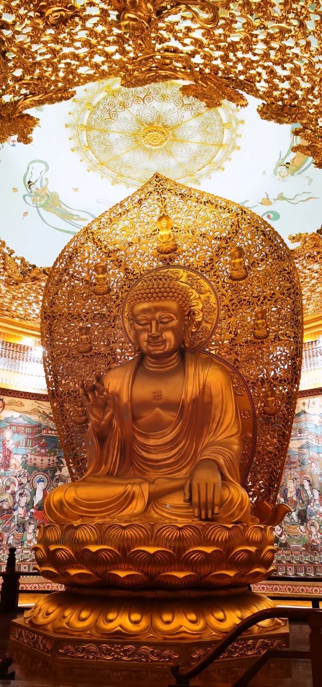 cV7cOF5howo5MiBnXXlVvblboLZo_DuVdqptTpMMJ4lEyCJWWV3sNB8YAdInCAKu