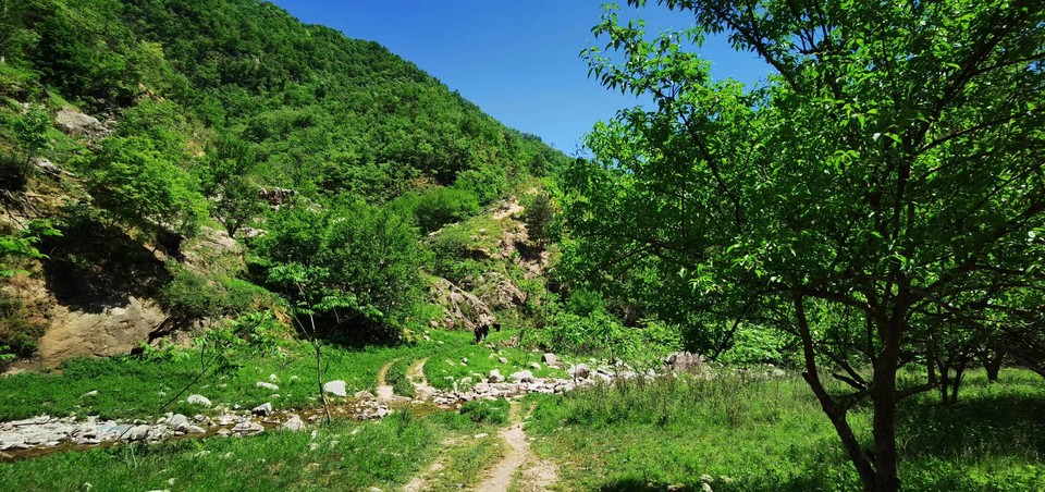 4QIdjmnY_aWNUqrQM795Vs4ZBW55udy0E3v6J59lvUa6scDVO3D2yeBvc2thmOIH