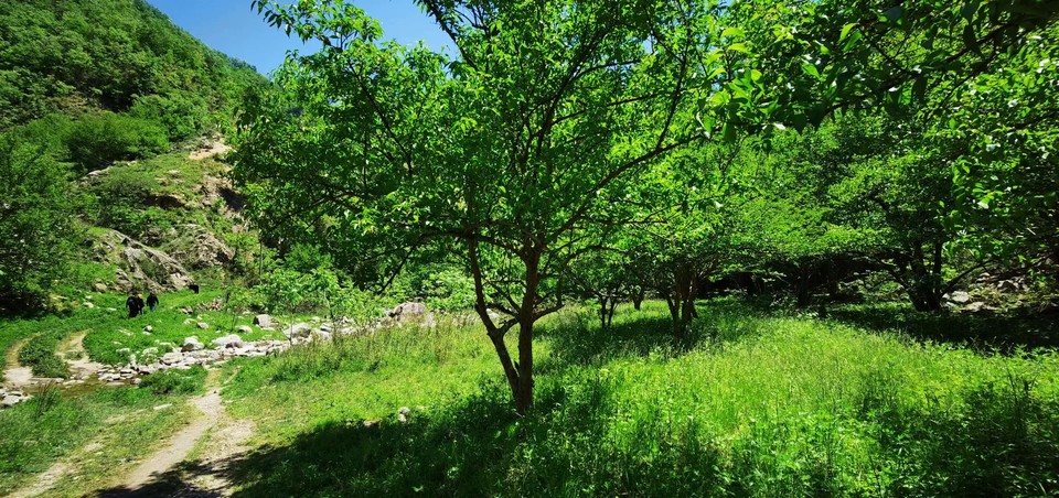 4QIdjmnY_aWNUqrQM795Vsj1QyLxXkGH8n6CF4oZASCVGXEp2vS2o3tJvsNtTlif