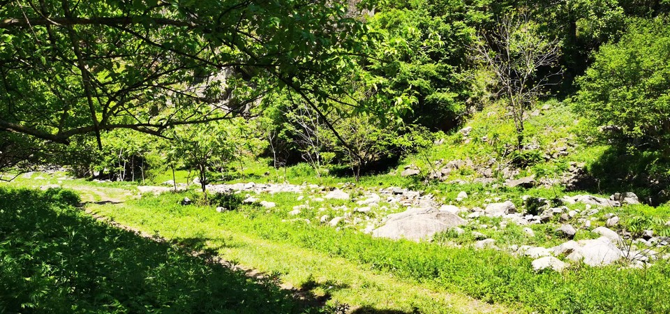 4QIdjmnY_aWNUqrQM795VnZYocVqbPmg0xHysKozuYi_7iQnp-NEZgYAHkcy3Gl7