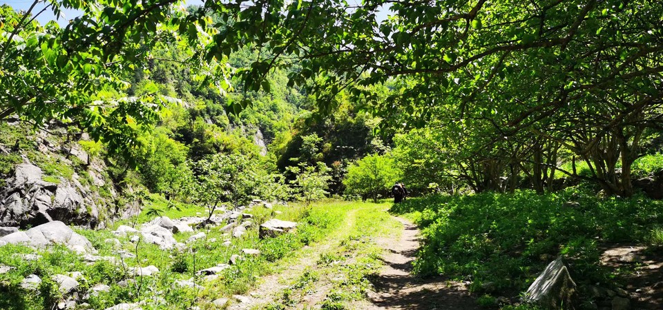 4QIdjmnY_aWNUqrQM795VpOk5fhCn5KGqddoGGW9aDnqyfKt-tr4jDVhaomw-7eF