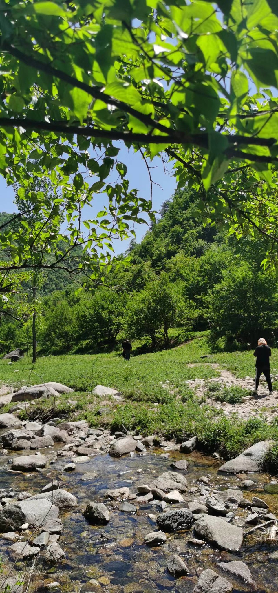 4QIdjmnY_aWNUqrQM795VoNlbknztkcW5wbHcR6ZTekh4t4HI19MPQs5nz-QfBdn