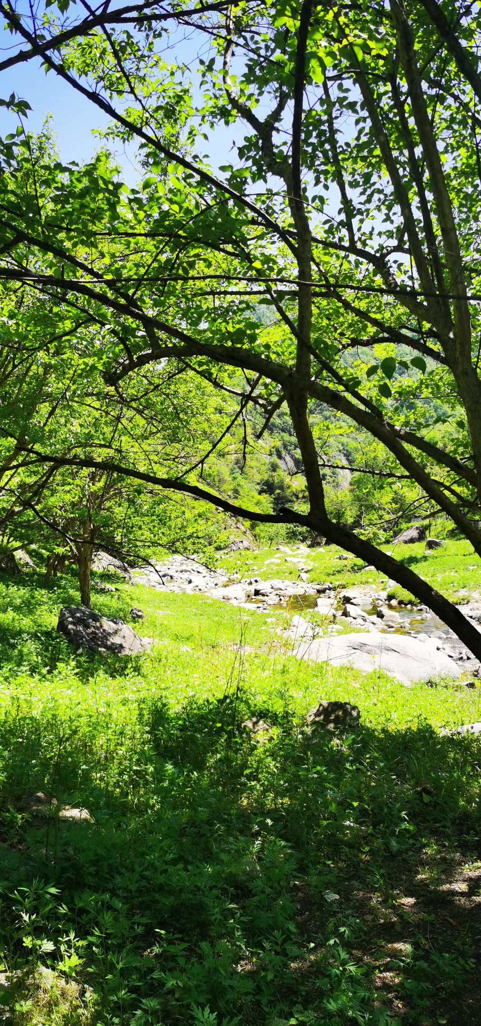 4QIdjmnY_aWNUqrQM795Vjq0T_1-qdW7eGILmc2KY5EkUbIypmpJ6ujsGLhpH-K2