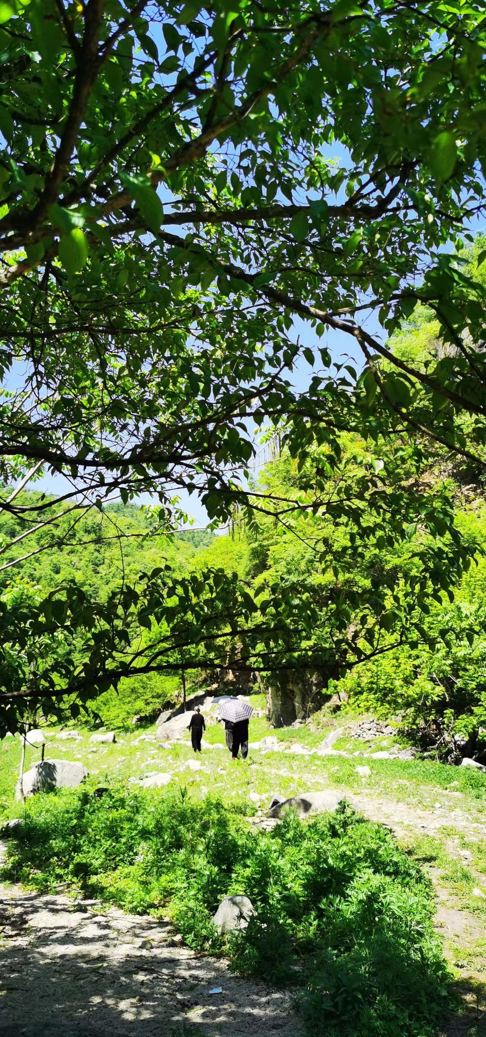 4QIdjmnY_aWNUqrQM795VqBeaJaFxoEga2q2nG03JMAa-L_ua6i1f5Rcxzb1U2K4