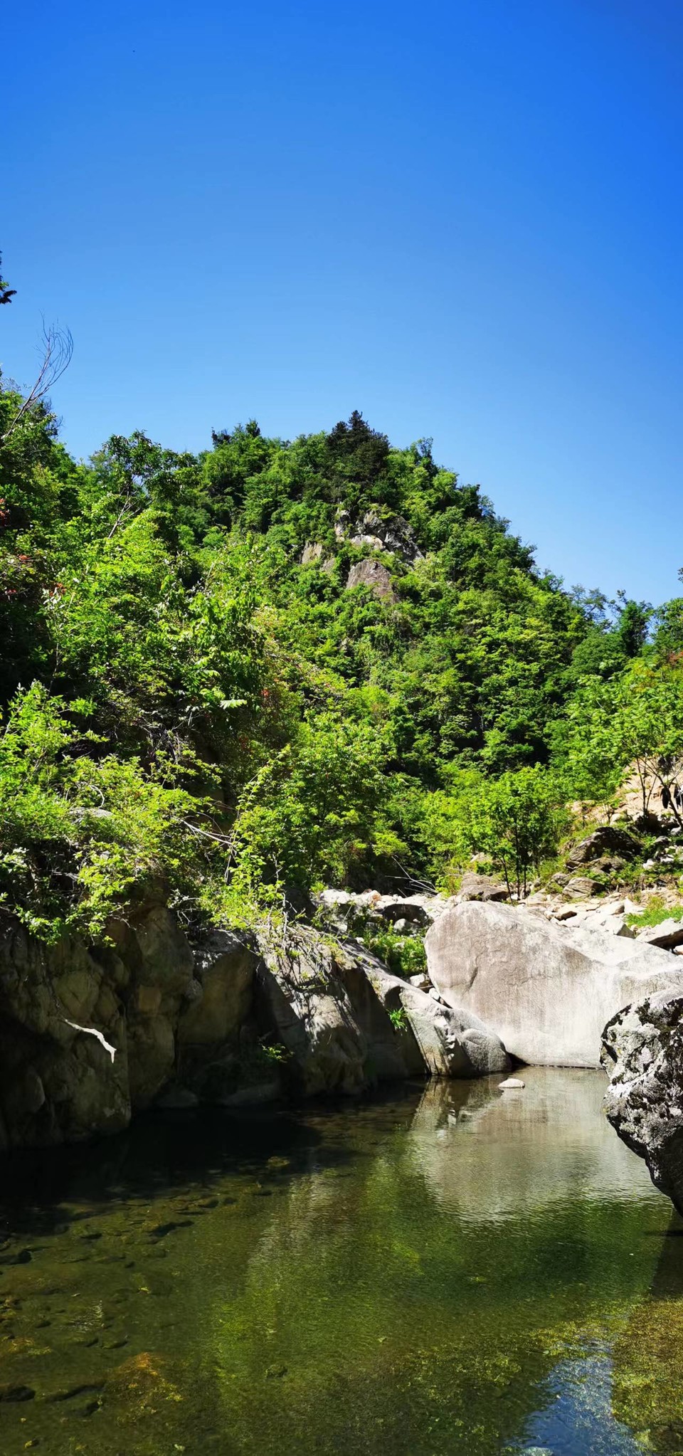 4QIdjmnY_aWNUqrQM795VqTkbA6MeeybIBD6To6b6D7dUPIEZgmdlgyJLSOvEhKt