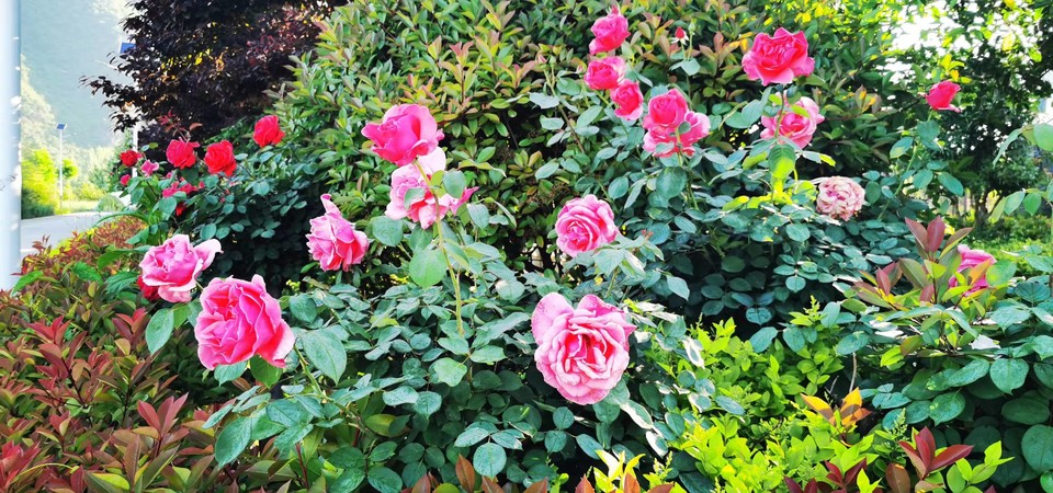 4QIdjmnY_aWNUqrQM795VmjpclllEnV_svm30IDe5Vyxc5AtHNZx5lpoEWL4M5g_