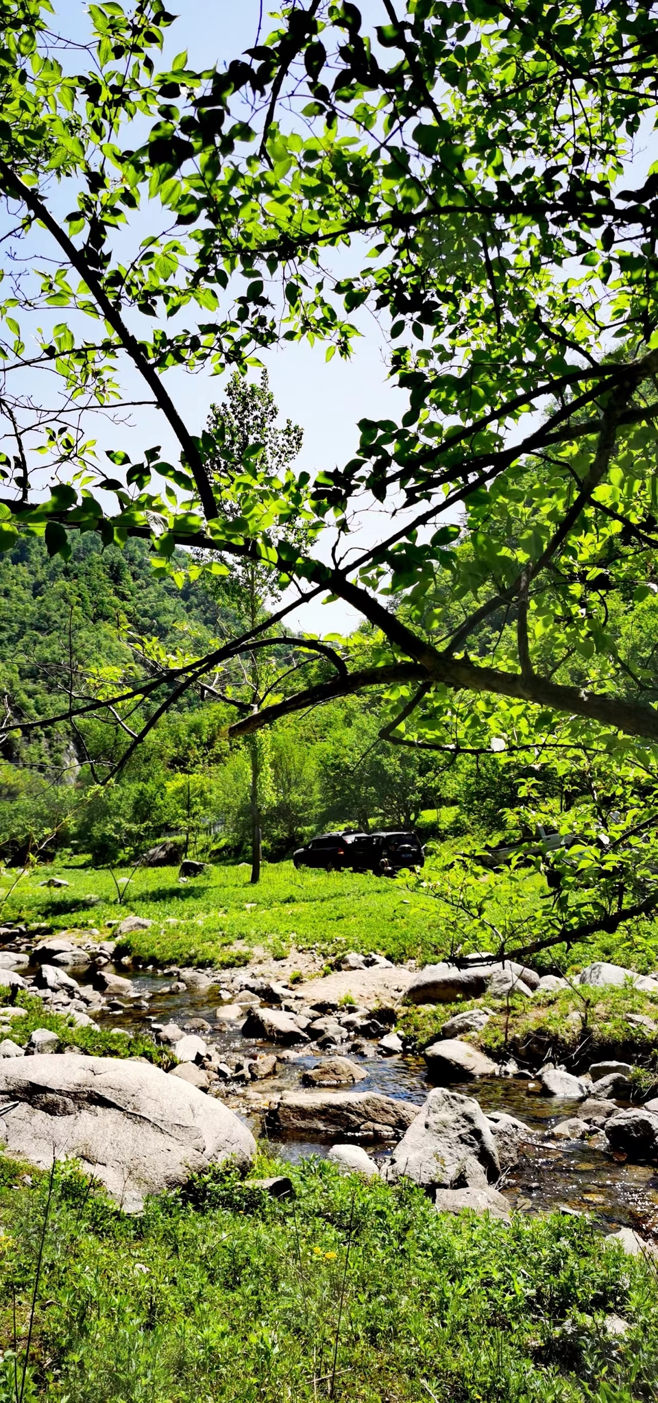 4QIdjmnY_aWNUqrQM795VrsUAbng-pDqrdj-kqKH-71jOFAQI4Q85vZV0ZGDe6rl