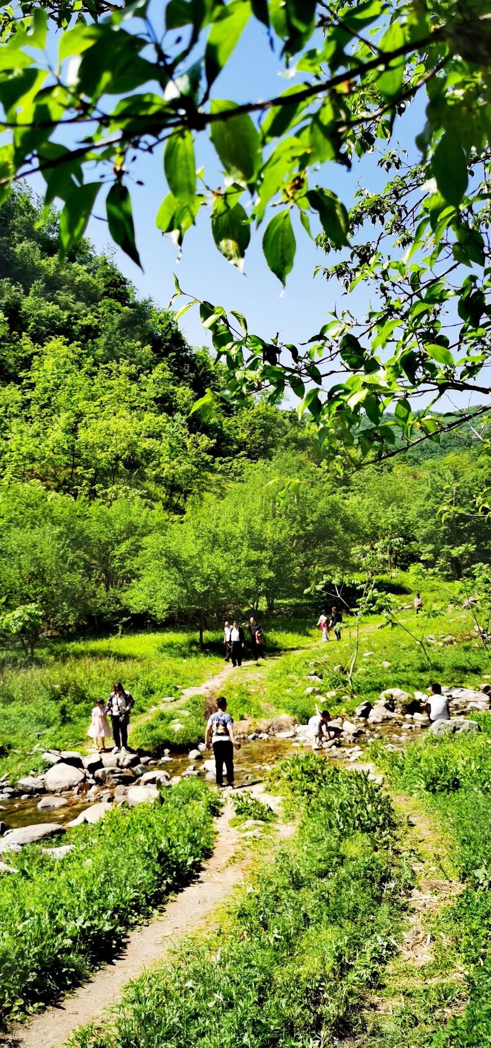 4QIdjmnY_aWNUqrQM795VkOc1L8j7tTgSnZMCguWdwuVbT2jwS1JAFWRB0Yq26T5