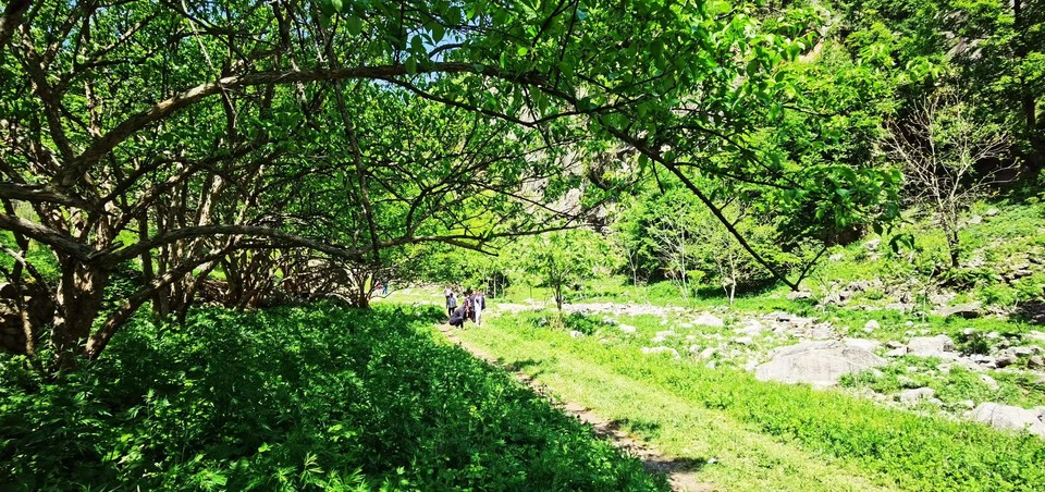 4QIdjmnY_aWNUqrQM795VgPfjAtQRfZSJoQvGJqYxumodY86d1jeUTp0E3Fu6WBB