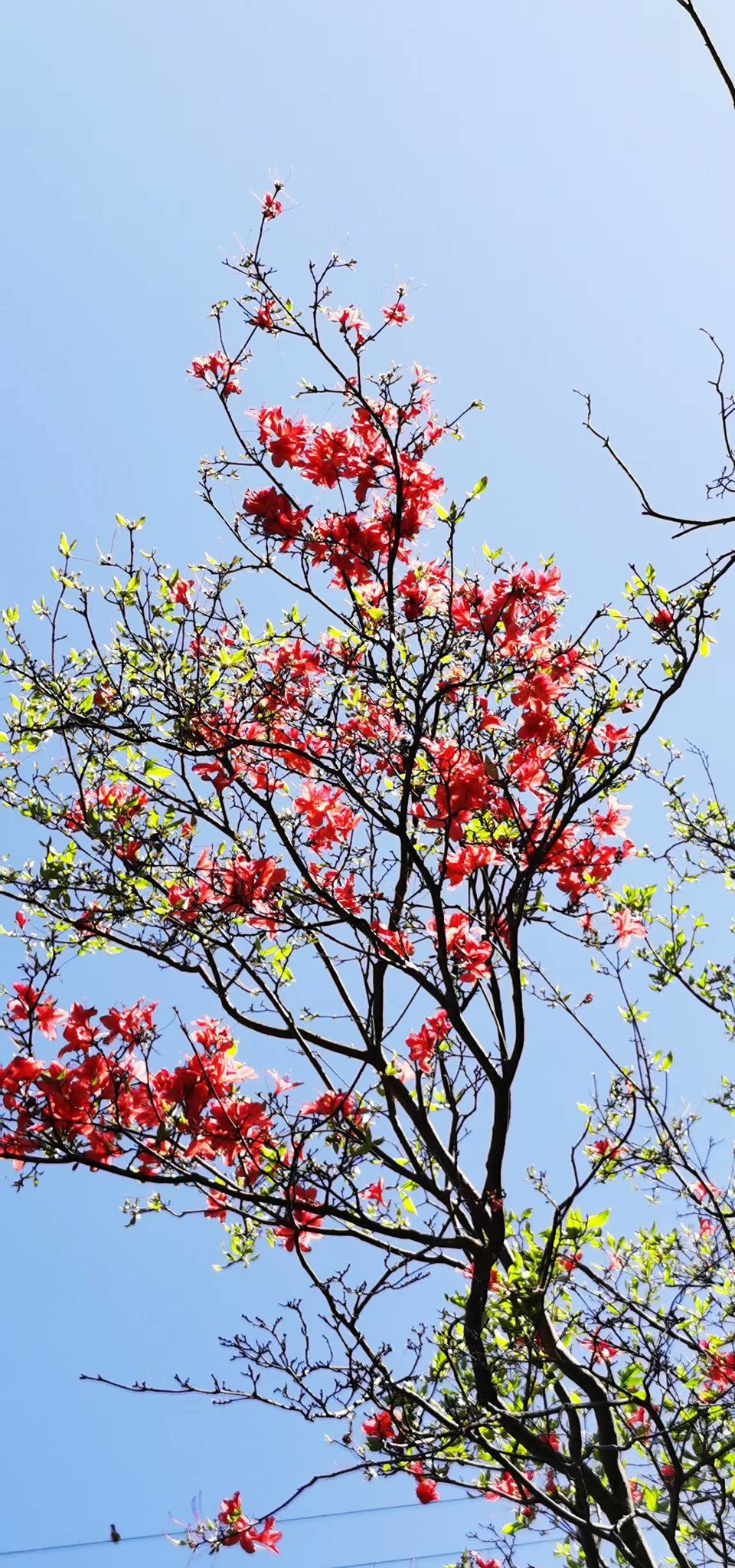 4QIdjmnY_aWNUqrQM795Vq0u4UZWsV7_mZPTdA_n7GrSgs1ZvD9DFekEuMbEWFR0