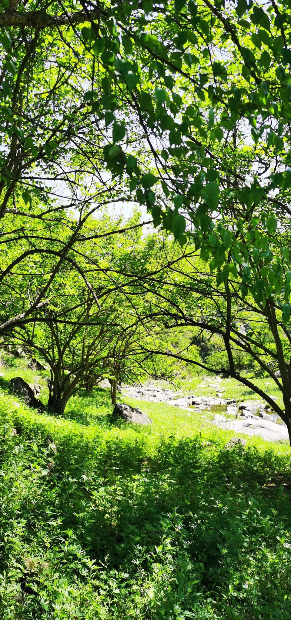 4QIdjmnY_aWNUqrQM795VhvecbEkPE6h0Vg40EmeF3iLILdbHrmev5riEGTKlGpR