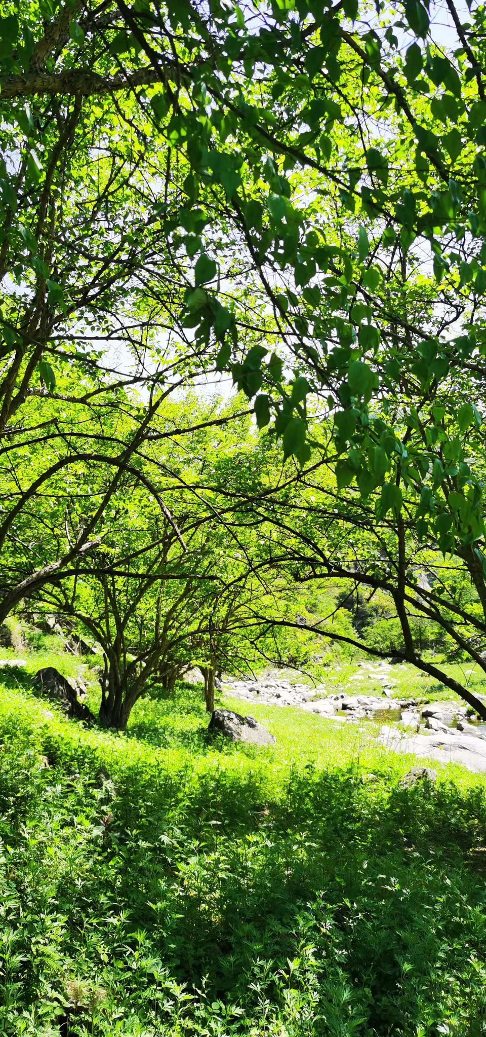 4QIdjmnY_aWNUqrQM795Vn2kEkQr7RL9W9CouqZdgjeO-dArqcQ8ZDpH3YBe9vbv