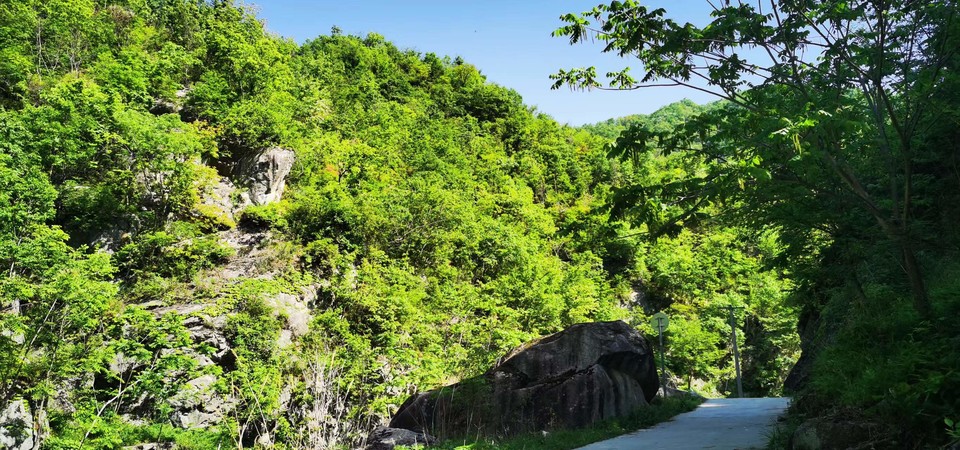 oV-hISshDXlrKx9AMvbv7e6X4aYVW4fF12NA7YleTCzw4Rfh8toTR92WBrvlN46x