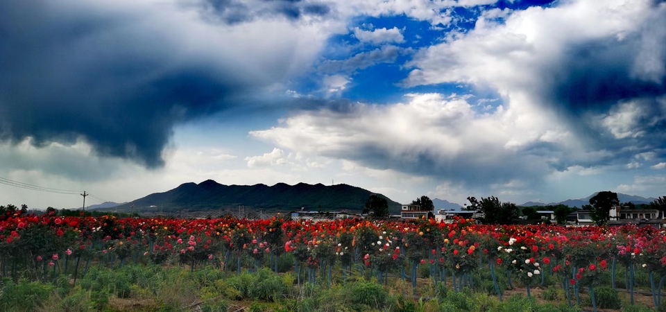 oV-hISshDXlrKx9AMvbv7RgcWnr-kG8_LKt4iWTPZwuJRFRantkWVD8V2KInAeuG