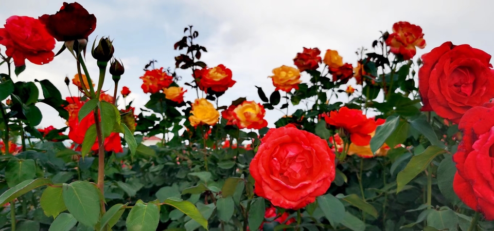 oV-hISshDXlrKx9AMvbv7cFGnA1DOhLZ5NcVHwdIOzPVdVnwaU0on9h9X2-b5H4G