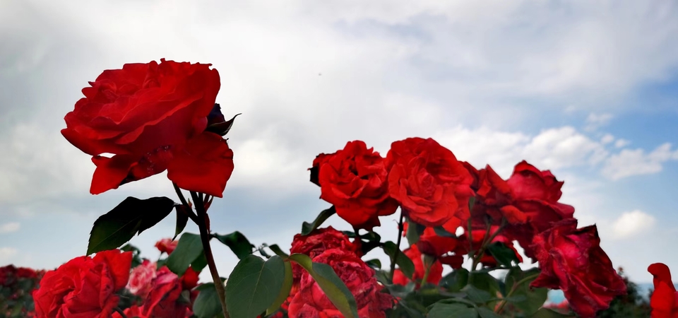 oV-hISshDXlrKx9AMvbv7ZK_zFLtmWKtIaIPSVooEo7b5X1DnKywQ2X8xpL5L9cs