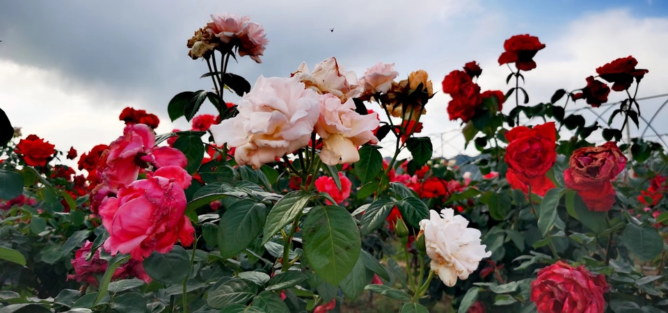 oV-hISshDXlrKx9AMvbv7Rqe7S0DqvH3Z32o4I37fRh_YbXT2ZA-7ef0-ro2w3jg