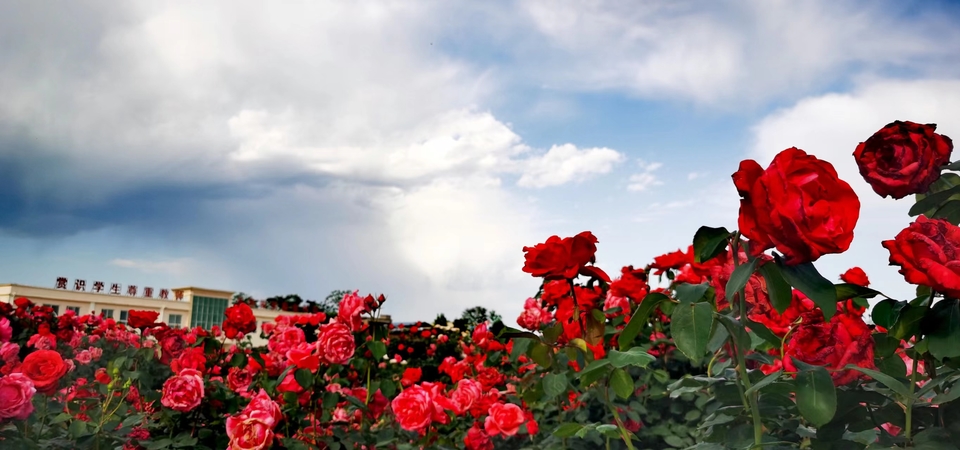 oV-hISshDXlrKx9AMvbv7WzAIzyajLzCDEnzf2QUeG_TV47Ry3RIBCS0bXR-a4Qv