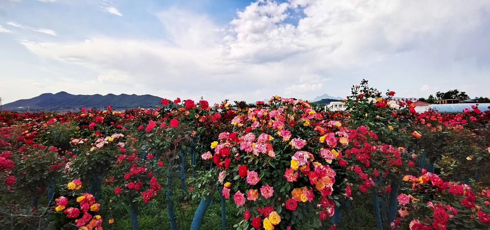 oV-hISshDXlrKx9AMvbv7TdnUMxCAfhWtM5eP-3Zj7M35OFbkCg3NwWVwI-QJNRu