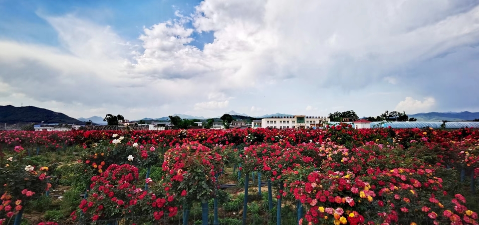 oV-hISshDXlrKx9AMvbv7YezudhD74VmEcNXCWGl4xSm1dTO2YTwckq8RC5JiiD6