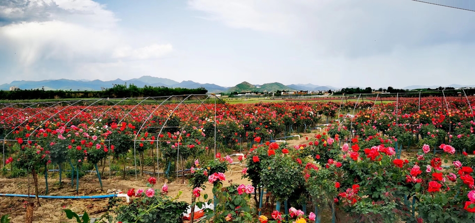 oV-hISshDXlrKx9AMvbv7WHEiXFN7-eTqHivGgyqidxxI3db1vynr5Ox41KCYVkJ