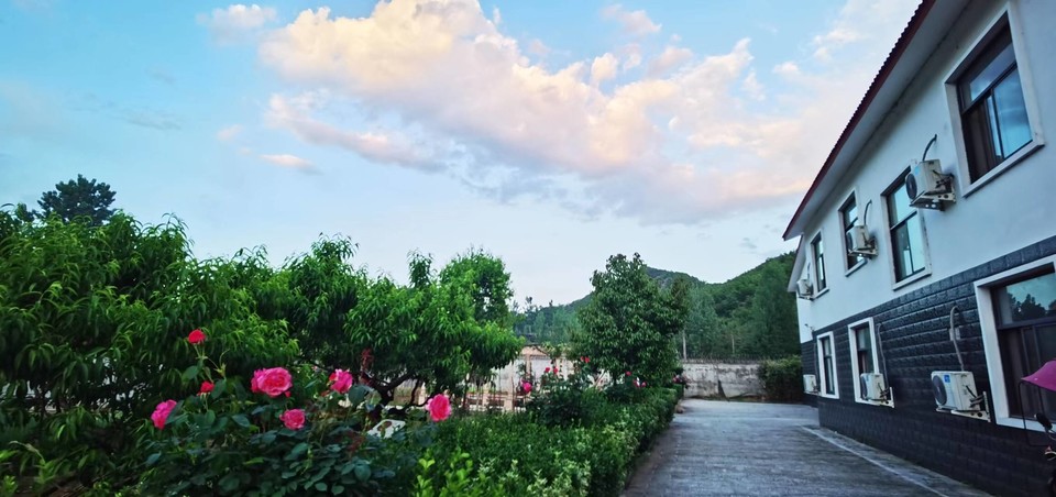 oV-hISshDXlrKx9AMvbv7Q018gm6cf8Ax_0YzX3mrTSxjgXfPe6Zx2_0eomPcDmM