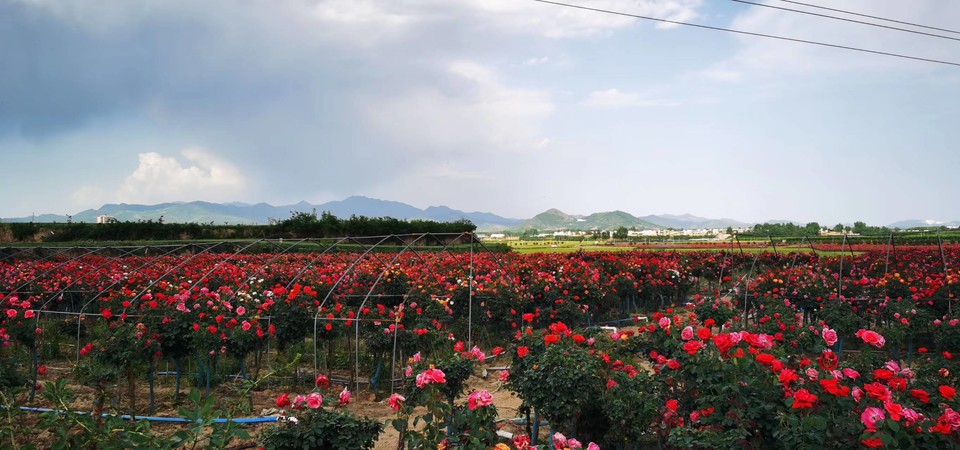 oV-hISshDXlrKx9AMvbv7V_bOH4evYtD1sE3vRSgKF7npgDJ2RNRqxmeFcJI5WCy