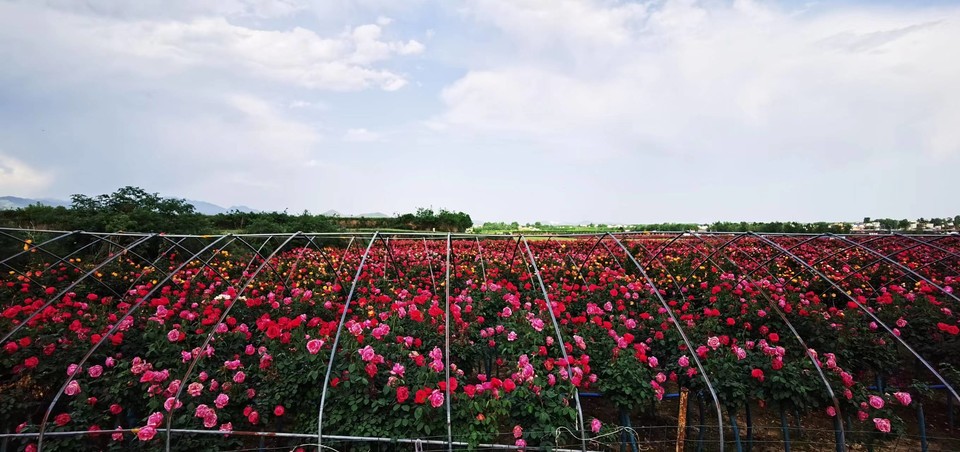 oV-hISshDXlrKx9AMvbv7dx0UTnSB0VVhKK5T8ciJnI8GTMnEwiAKQJuOPnHsNvJ