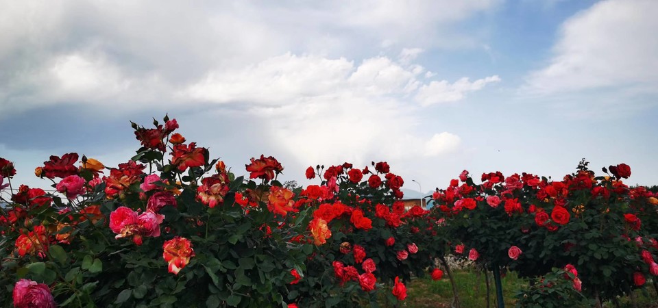 oV-hISshDXlrKx9AMvbv7dVDiE9XNl0jzQbO2LmA74RdE7F4JEG95bFhI2fOk7PN