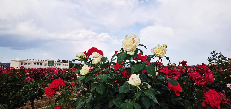 oV-hISshDXlrKx9AMvbv7RRkAeZSnSlXZfXqMp8NEeNqdQ6VeeyoLSmEXP8rn6g_